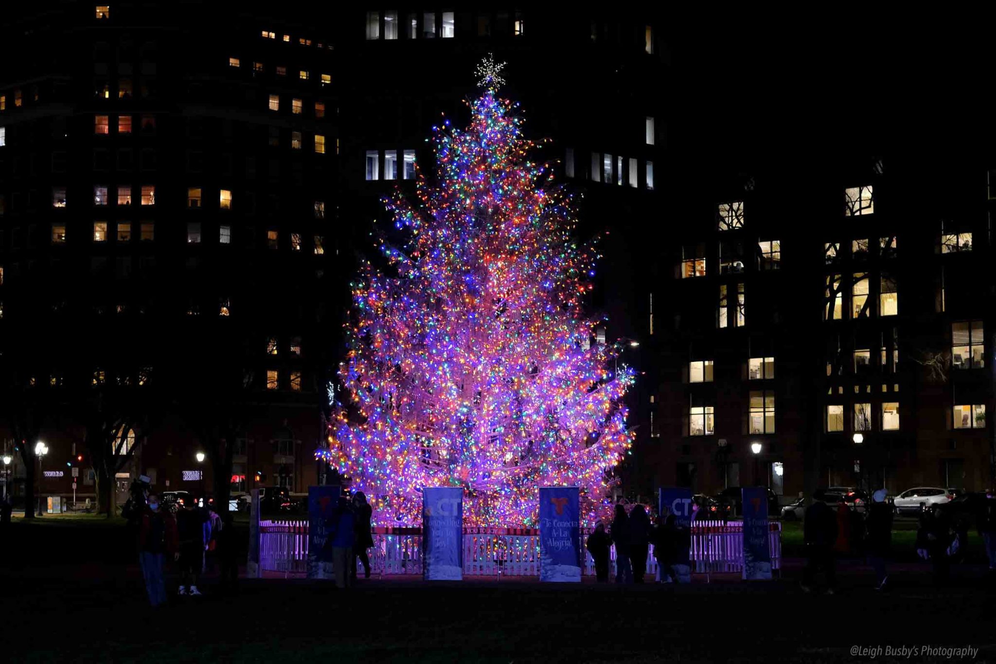 New Haven Connecticut “Christmas Tree Lighting Ceremony” 12102020