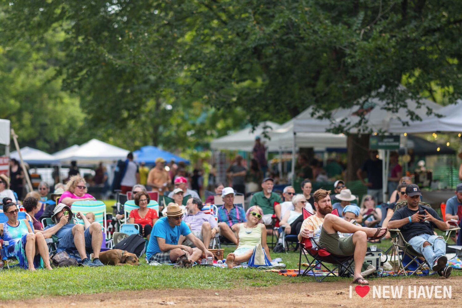 CT Folk Fest and Green Expo007