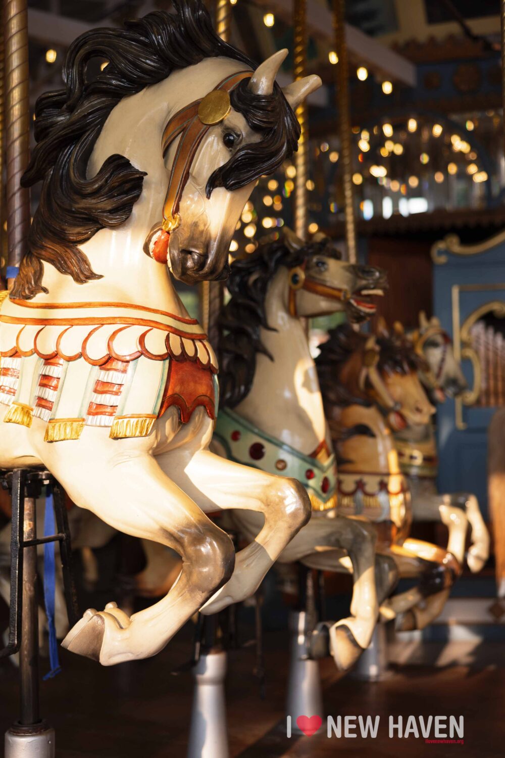 new haven lighthouse point carousel