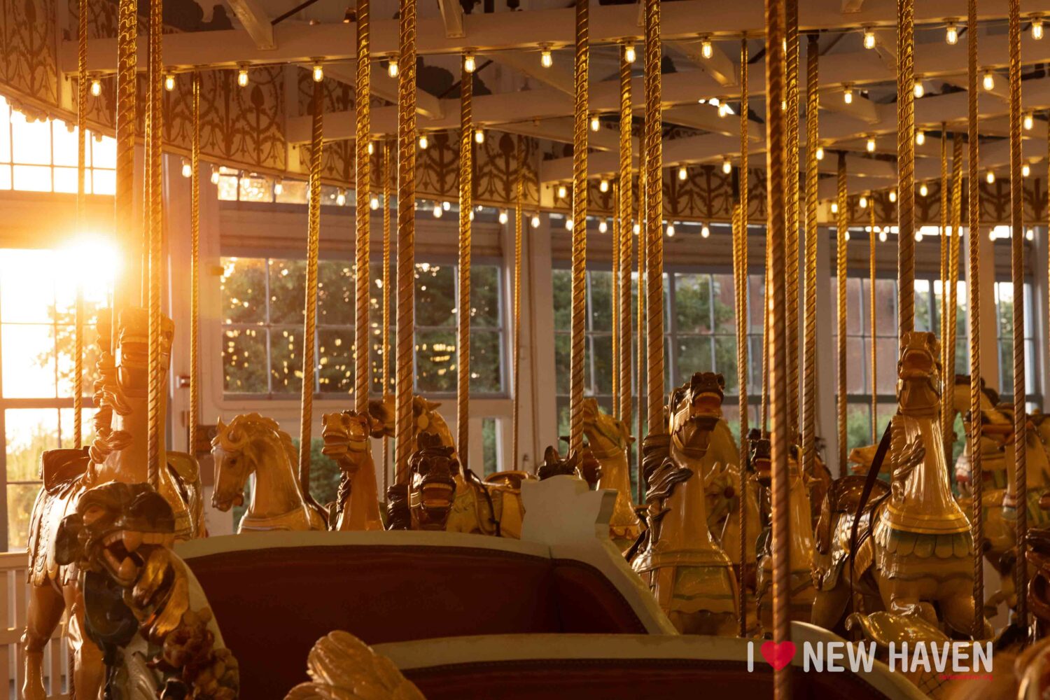 new haven lighthouse point carousel