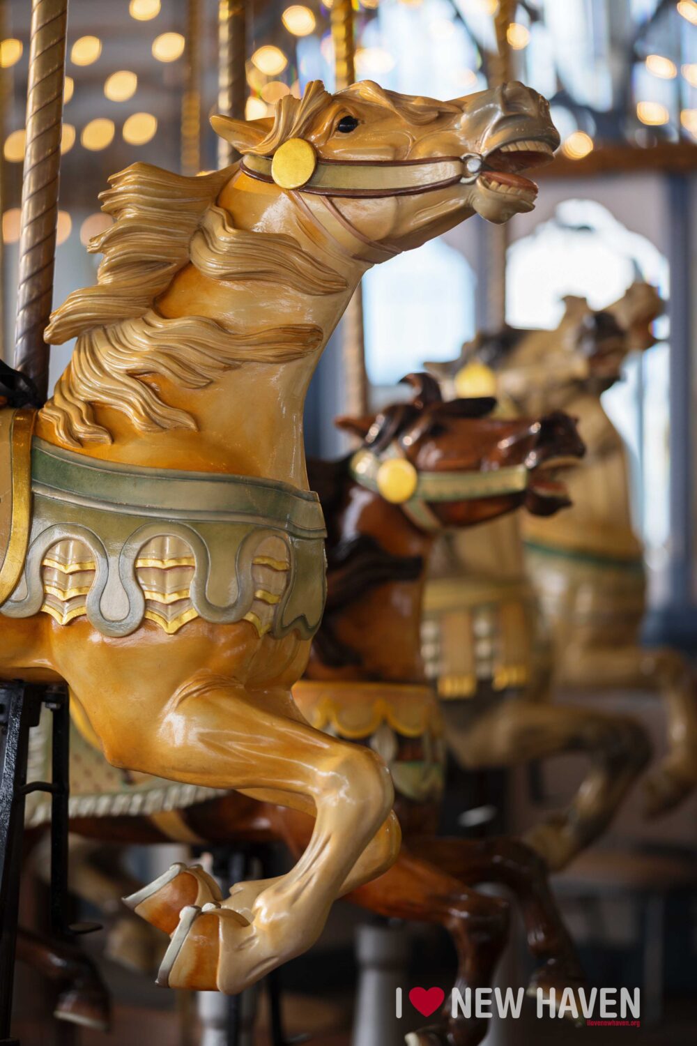 new haven lighthouse point carousel