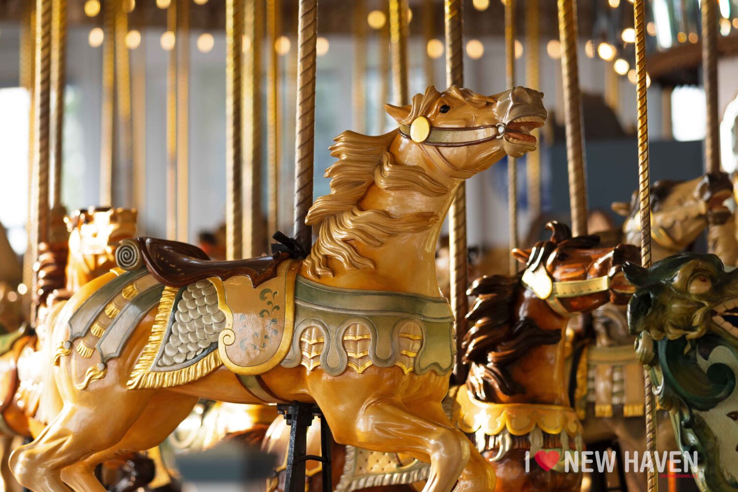 new haven lighthouse point carousel