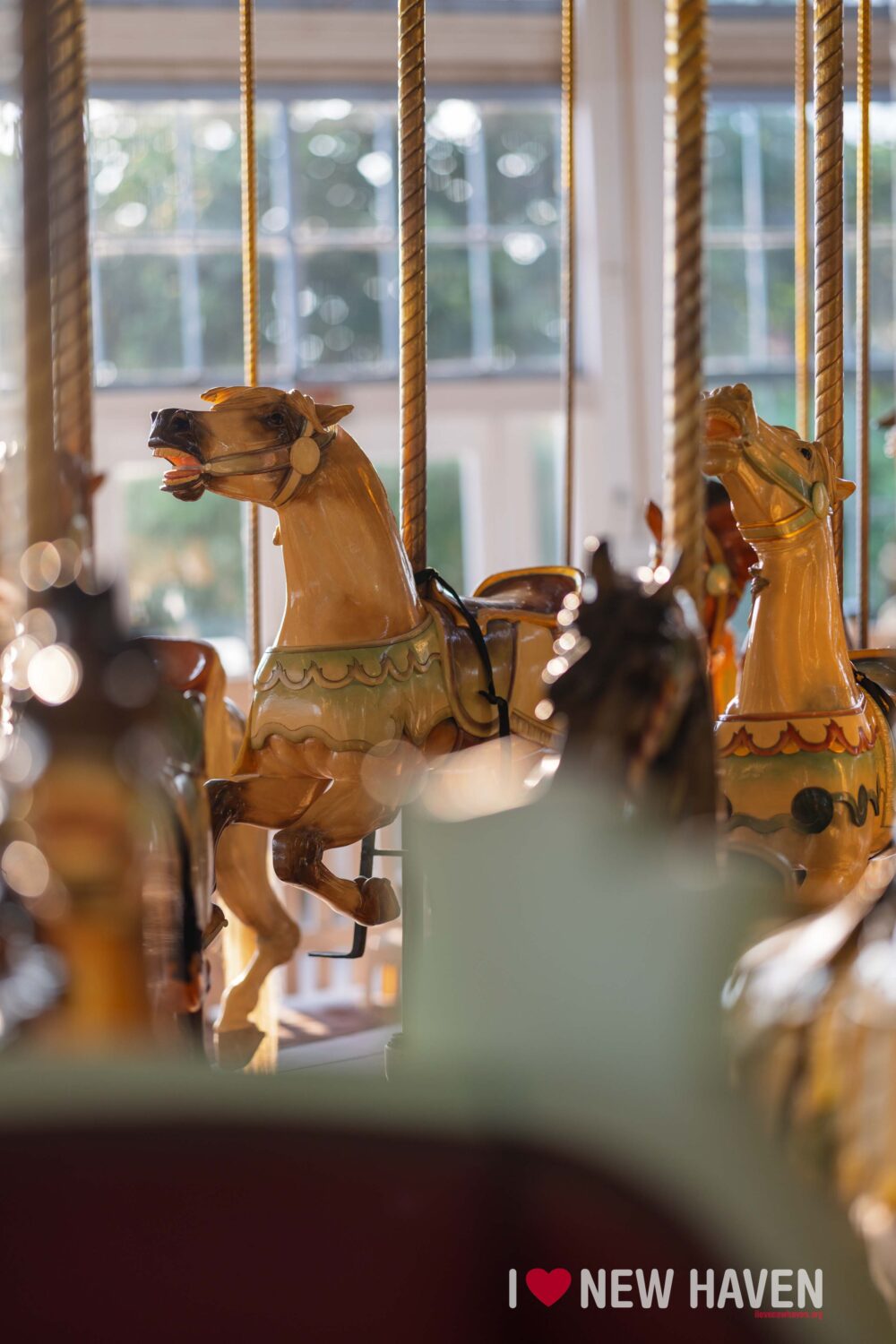 new haven lighthouse point carousel