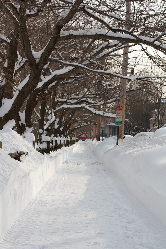 Winter in Wooster Square, New Haven, CT by Jeffrey Kerekes